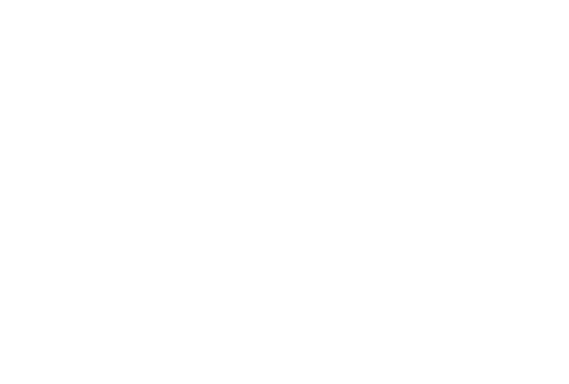European Roulette