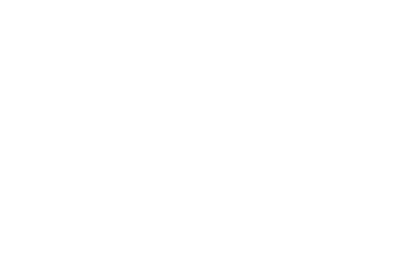 Zoom Roulette
