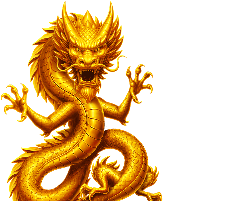 Coins of Dragon